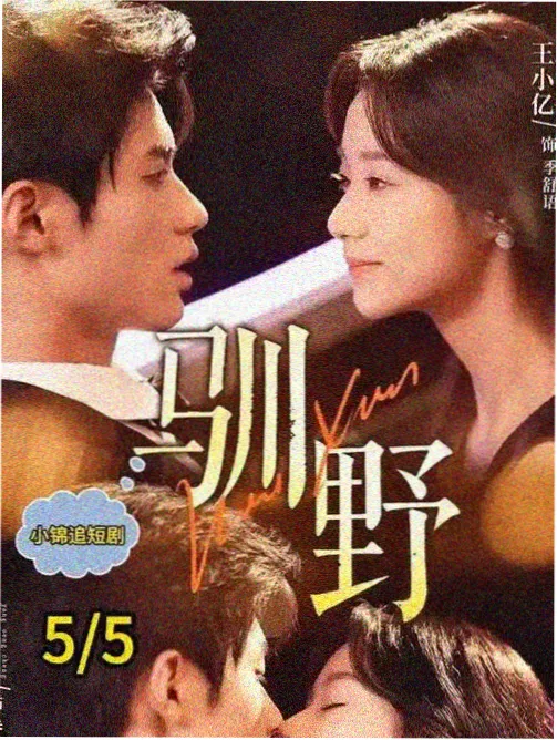 利剑玫瑰全集在线观看 特别季